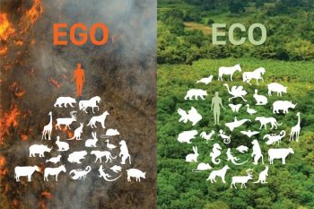 Chuyển dịch hệ sinh thái, từ EGO sang ECO