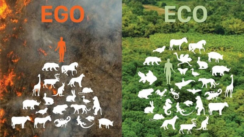 Chuyển dịch hệ sinh thái, từ EGO sang ECO